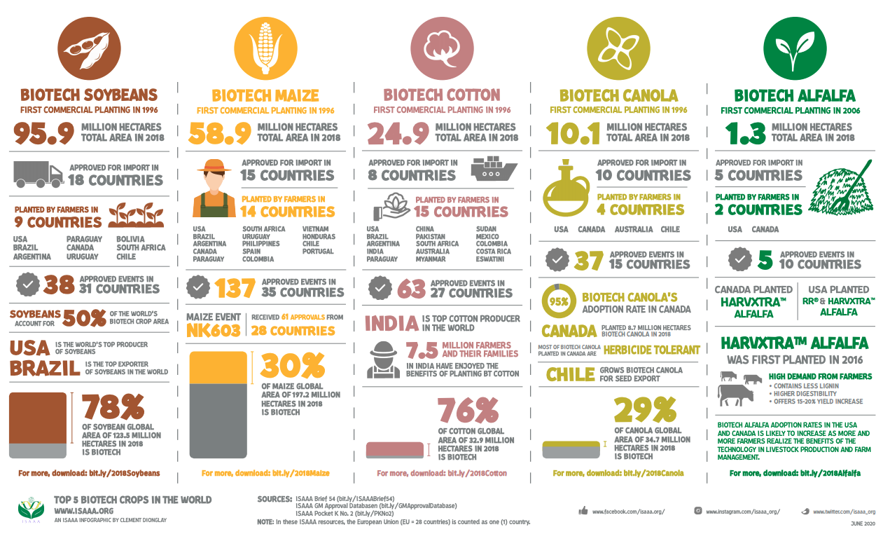 Top 5 Biotech Crops