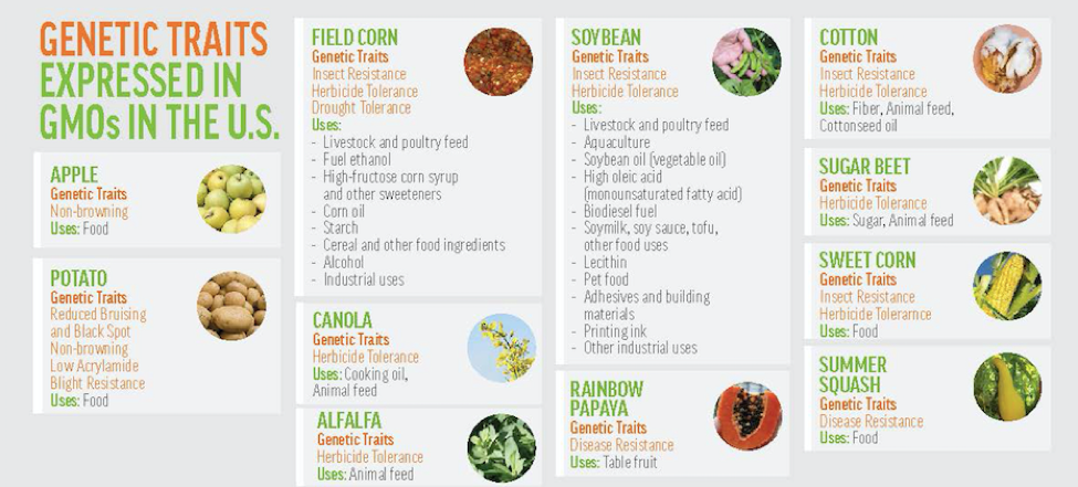 Genetic Traits Expressed in US GMOs